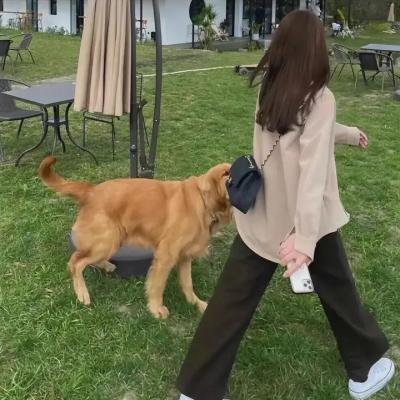 猫头鹰之森